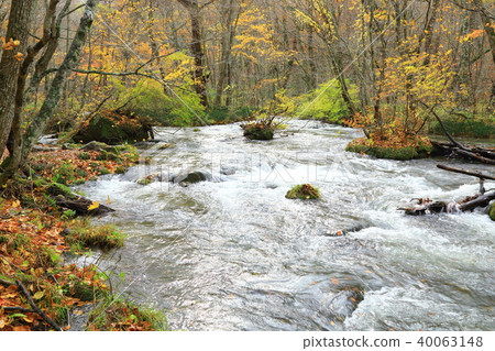 Autumn Oirase mountain stream 40063148