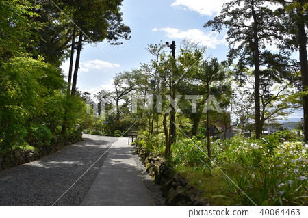 前吉田重義大淀町 前吉田重義大淀町 40064463