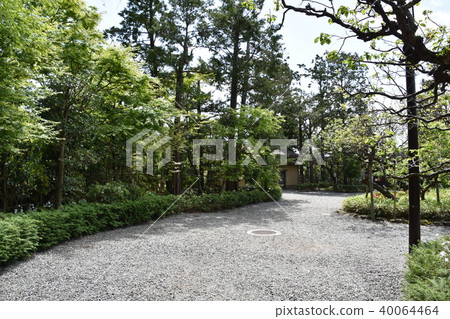 前吉田重義大淀町 前吉田重義大淀町 40064464