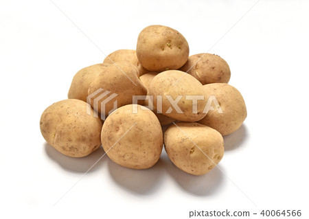 Red soil new potato Red soil new potato 40064566