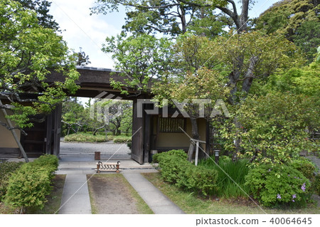 前吉田重義大淀町 前吉田重義大淀町 40064645