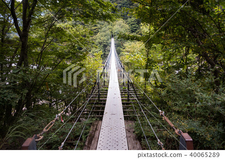 懸索橋在山的後面 40065289