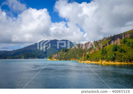Marlborough Sounds, New Zealand Marlborough Sounds, New Zealand 40065528