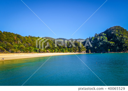 Abel Tasman National Park, New Zealand Abel Tasman National Park, New Zealand 40065529