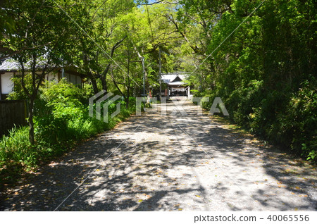 通往柏市的方式(高知市市長哈馬,高知) 通往柏市的方式(高知市市長哈馬,高知) 40065556