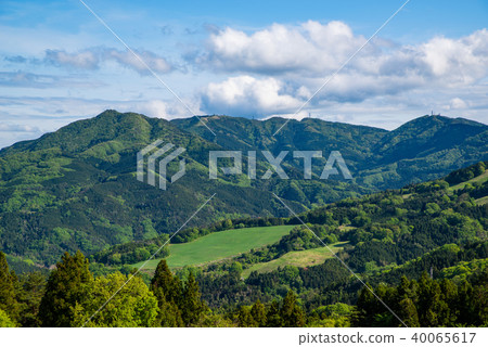 Mountain surface of spring Mountain range b of Higashi Chichibu village b 40065617
