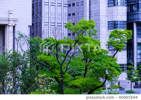 City landscape. The green of the city. City landscape. The green of the city. 40065694