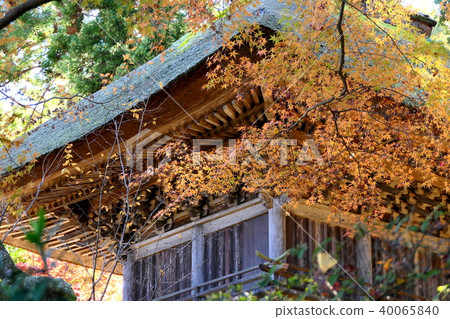 Impression of autumn GOTOKUJI 40065840