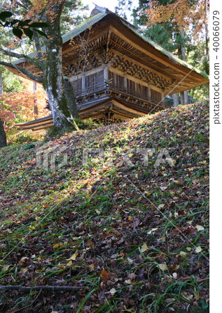 Impression of autumn GOTOKUJI 40066079