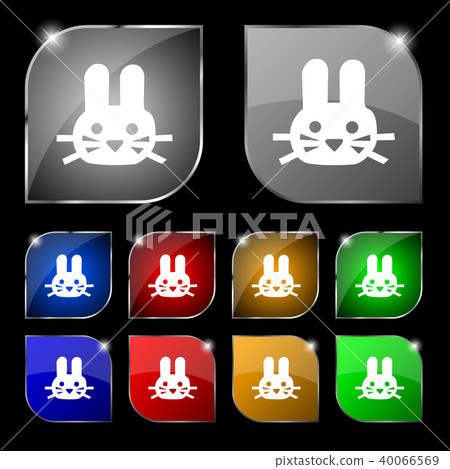Rabbit icon sign. Set of ten colorful buttons with Rabbit icon sign. Set of ten colorful buttons with 40066569