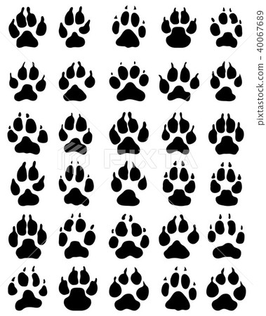 print of paw of dogs print of paw of dogs 40067689