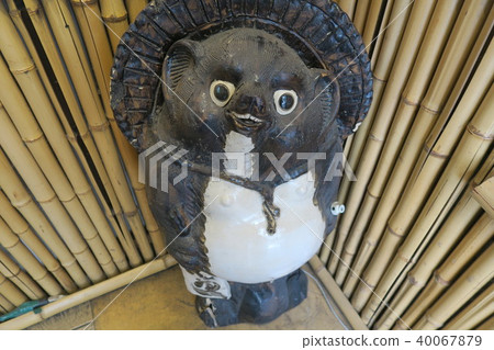 Raccoon Raccoon 40067879