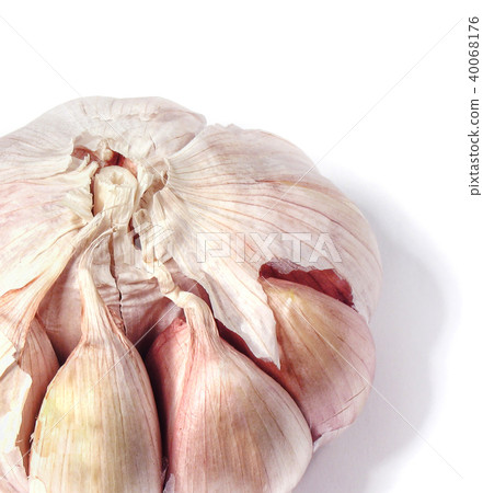 Garlic close up isolated on white Garlic close up isolated on white 40068176