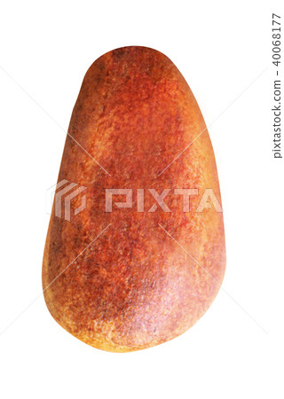 A nut isolated on white A nut isolated on white 40068177
