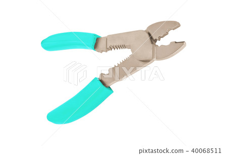 nipper isolated on a white background nipper isolated on a white background 40068511