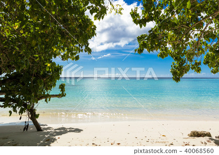 Tropical Sea and Shady Guam 40068560