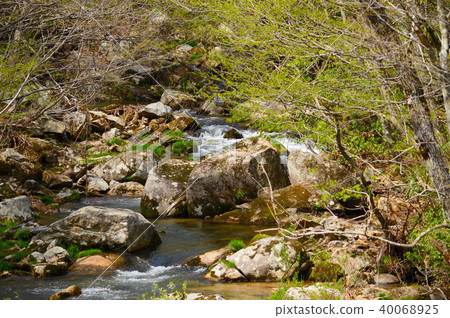 Clear stream in the forest (Akawase valley) 40068925