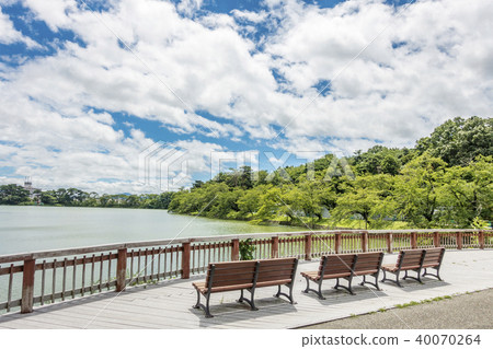 福島縣郡山市民休息的地方受歡迎的地方五百公園。從長凳上看,新鮮的綠色櫻花和藍天之間的對比是美麗的 福島縣郡山市民休息的地方受歡迎的地方五百公園。從長凳上看,新鮮的綠色櫻花和藍天之間的對比是美麗的 40070264