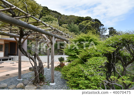 Former Yoshida Shigeei Oyodo-cho Former Yoshida Shigeei Oyodo-cho 40070475