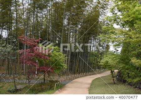 Former Yoshida Shigeei Oyodo-cho Former Yoshida Shigeei Oyodo-cho 40070477