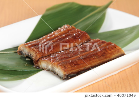 eel cuisine eel cuisine 40071049