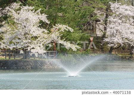 Shinto Park Shinto Park 40071138