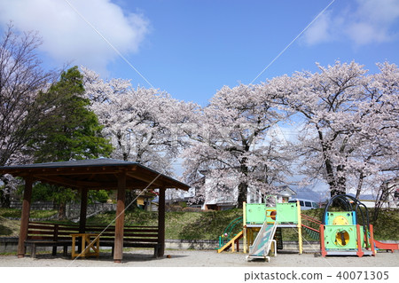 Omachi City Nishi Park Spring Omachi City Nishi Park Spring 40071305