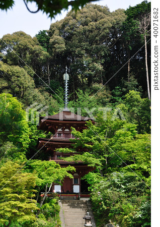 Joruri Temple 40071682