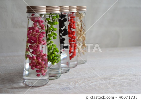 Pepper herbarium Pepper herbarium 40071733