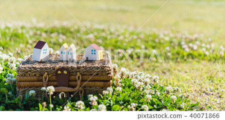 In the meadow 40071866