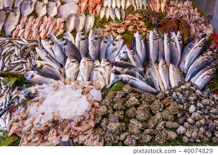 Fish Market in Istanbul Fish Market in Istanbul 40074829