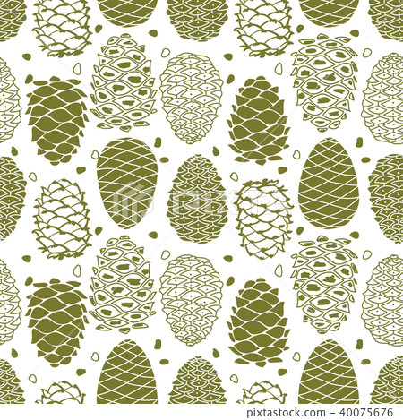 Cedar cones, seamless pattern for your design 40075676