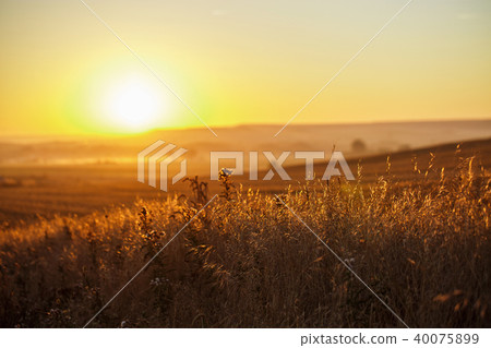 Amazing sunrise on camino 40075899