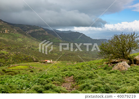 Northwest coast of the island of Sardinia 40079219