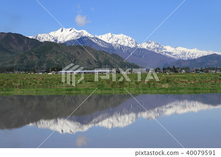 Spring from the foot of the mountain, the Northern Alps, behind Tateyama Mountain Range 40079591