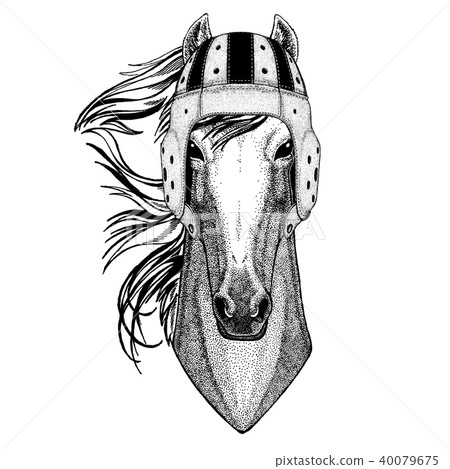 Cool animal wearing rugby helmet Extreme sport game Horse, hoss, knight, steed, courser Hand drawn Cool animal wearing rugby helmet Extreme sport game Horse, hoss, knight, steed, courser Hand drawn 40079675