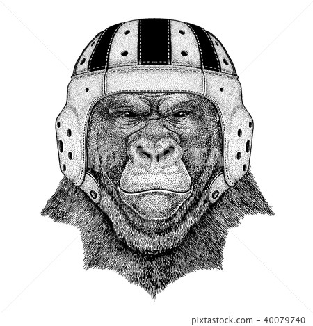 Cool animal wearing rugby helmet Extreme sport game Gorilla, monkey, ape Frightful animal Hand drawn 40079740