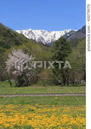 長野縣大町春天在阿爾卑斯山北部 長野縣大町春天在阿爾卑斯山北部 40079976