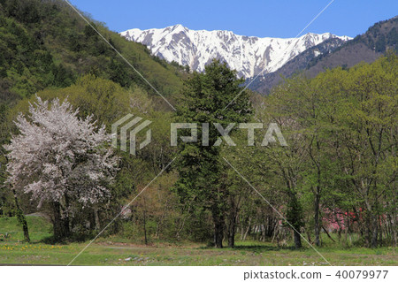 長野縣大町春天在阿爾卑斯山北部 長野縣大町春天在阿爾卑斯山北部 40079977