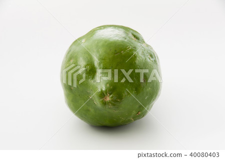 papaya papaya 40080403