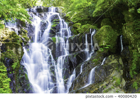 Beautiful Shiraito Falls (Itoshima City, Fukuoka Prefecture) Beautiful Shiraito Falls (Itoshima City, Fukuoka Prefecture) 40080420