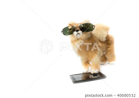 doll dog wearing sunglasses and mobile phone 40080532