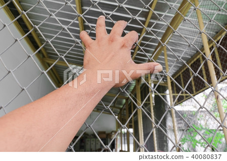 Hand with steel mesh fence in Jail concept Hand with steel mesh fence in Jail concept 40080837
