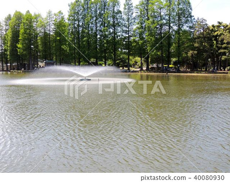 Besshi-mura Park Besshi-mura Park 40080930