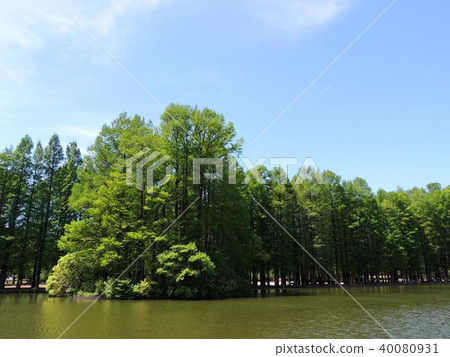 Besshi-mura Park 40080931