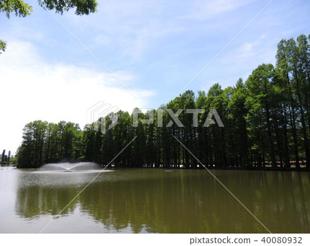 Besshi-mura Park Besshi-mura Park 40080932