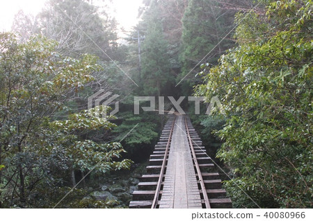 Yakushima Torokko Trail 40080966