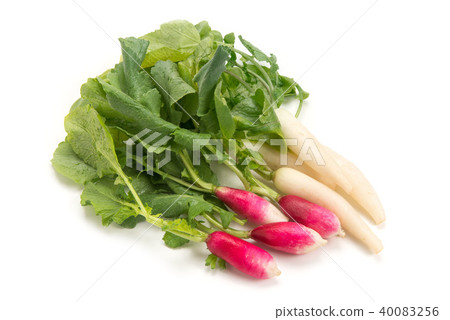 Mini radish 40083256