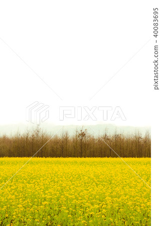 油Nahanada，Akinobu方，分佈，草案 40083695