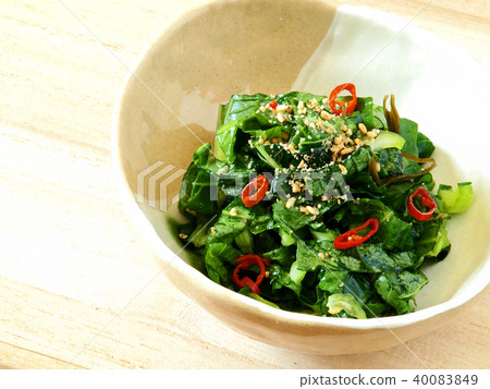 醃Komatsuna泡菜辣鹽醃冷杉日本料理 醃Komatsuna泡菜辣鹽醃冷杉日本料理 40083849